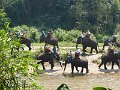 Chiang Mai P0188 Maetaman Elephant Camp